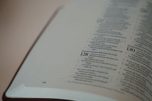 inner page view of hosanna revival esv journaling bible in the Yorkshire theme.